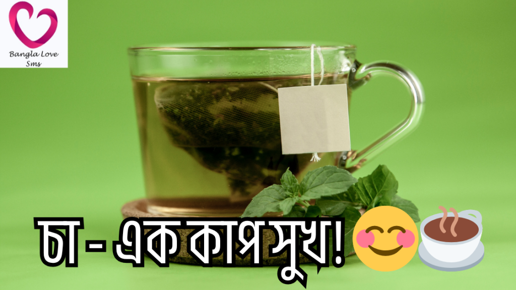 cha niye caption