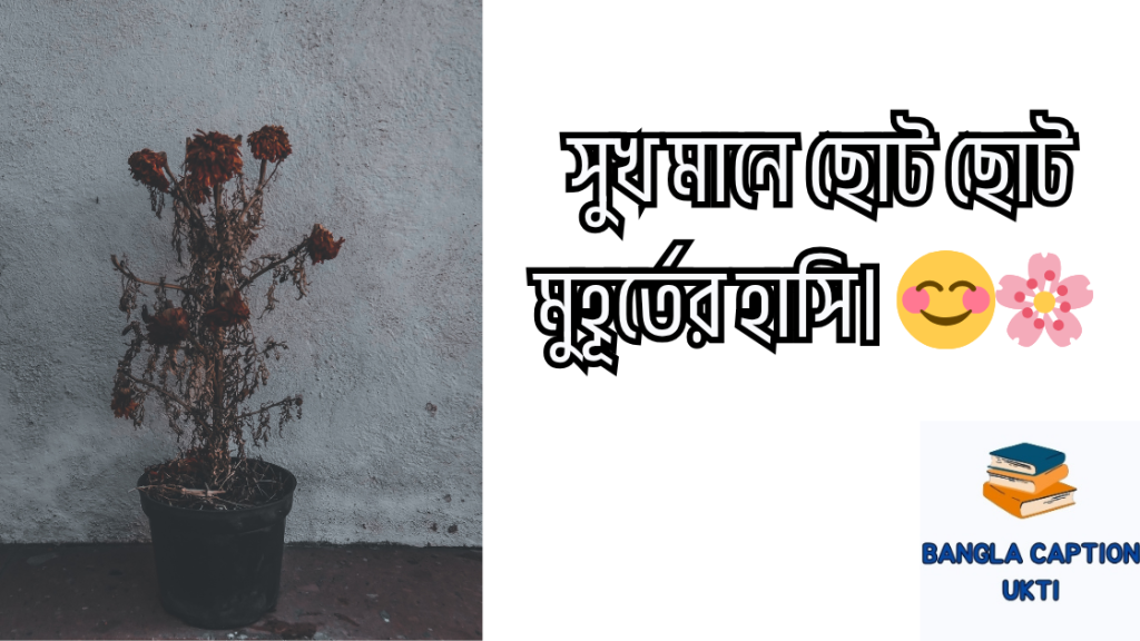 mrittu niye caption