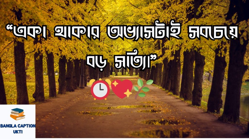 single celeder niye koster status