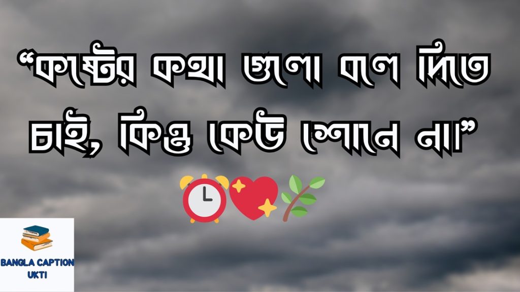 single celeder niye koster status