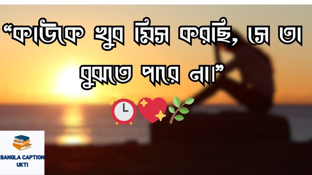 single celeder niye koster status