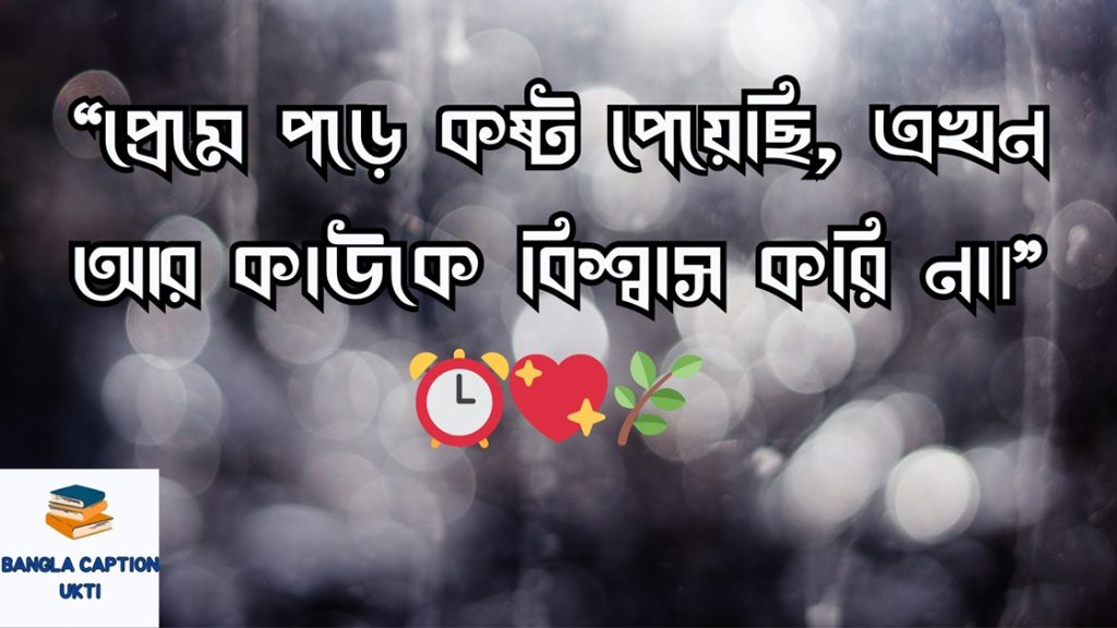 single celeder niye koster status