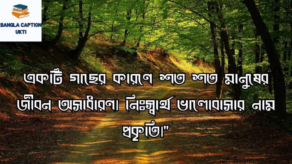 প্রকৃতি নিয়ে ক্যাপশন
