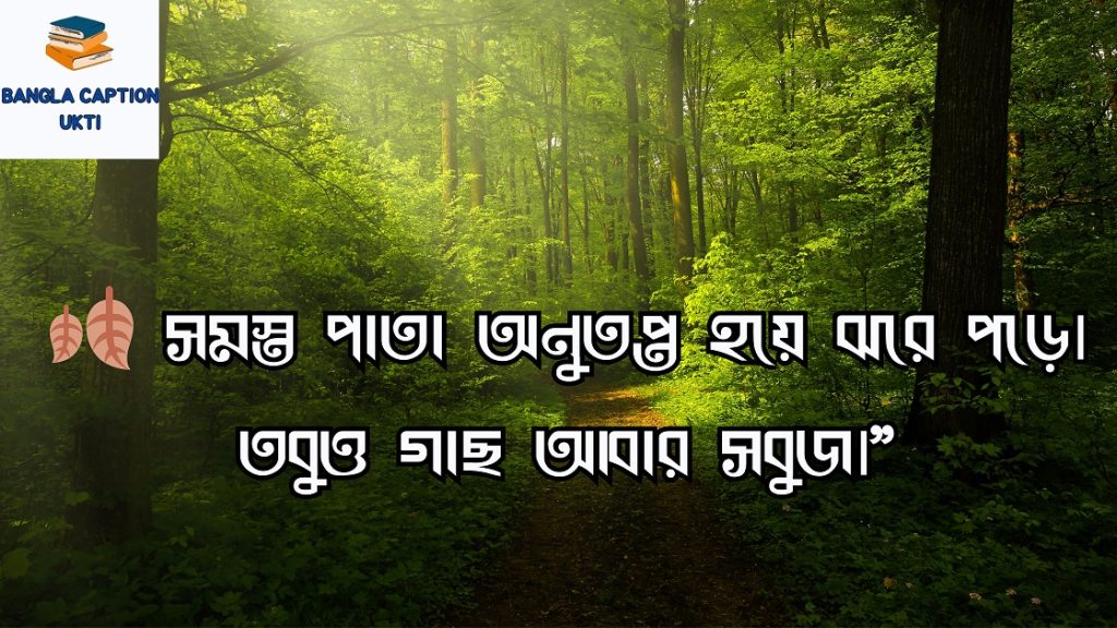 প্রকৃতি নিয়ে ক্যাপশন