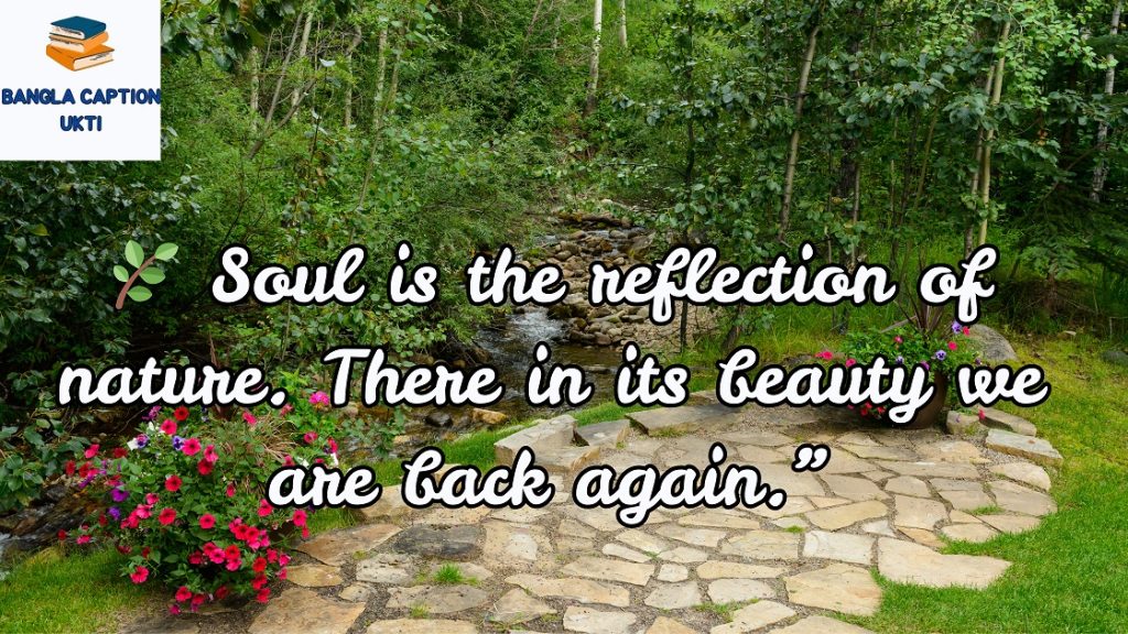 প্রকৃতি নিয়ে ক্যাপশন