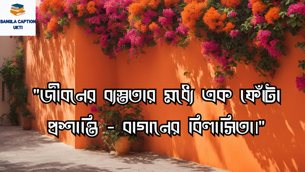 বাগান বিলাস ফুল নিয়ে 