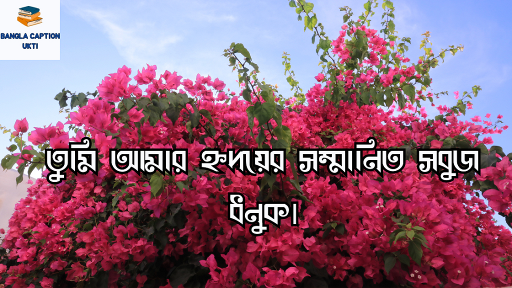 বাগান বিলাস ফুল নিয়ে 