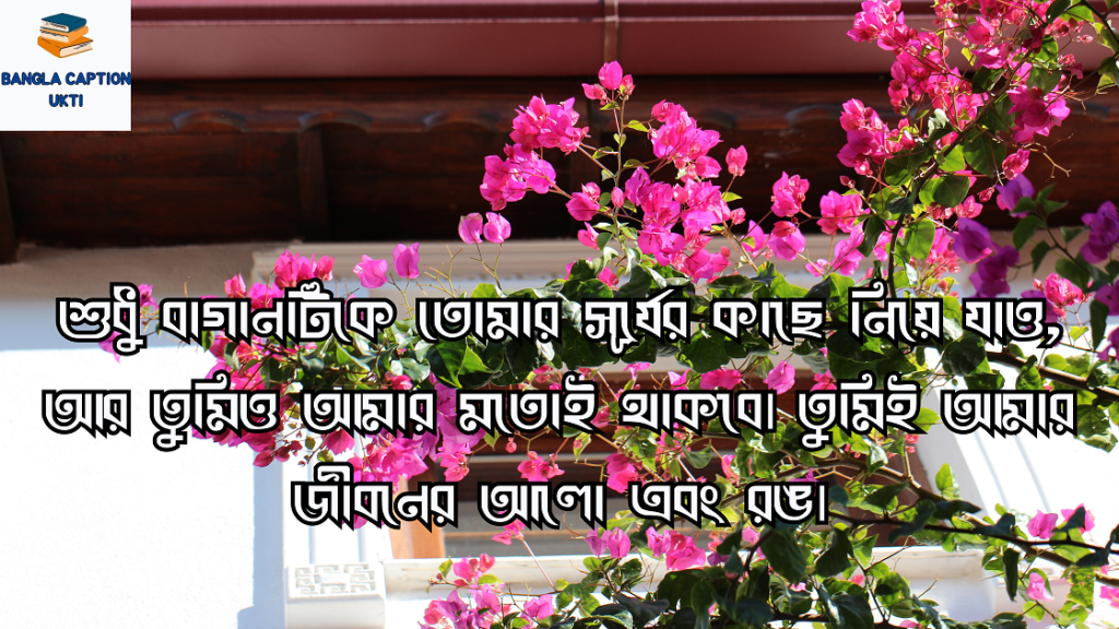 বাগান বিলাস ফুল নিয়ে 