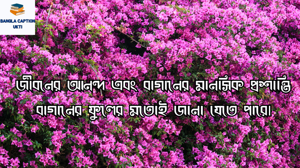 বাগান বিলাস ফুল নিয়ে 