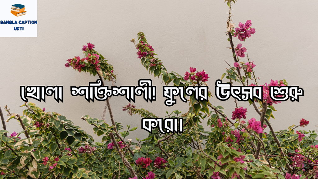 বাগান বিলাস ফুল নিয়ে 