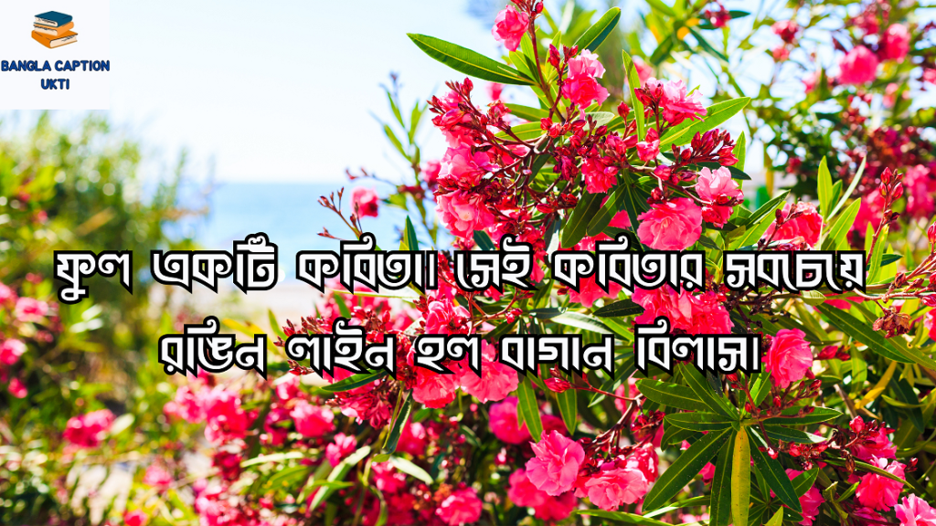 বাগান বিলাস ফুল নিয়ে 