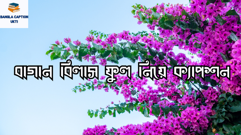 বাগান বিলাস ফুল নিয়ে