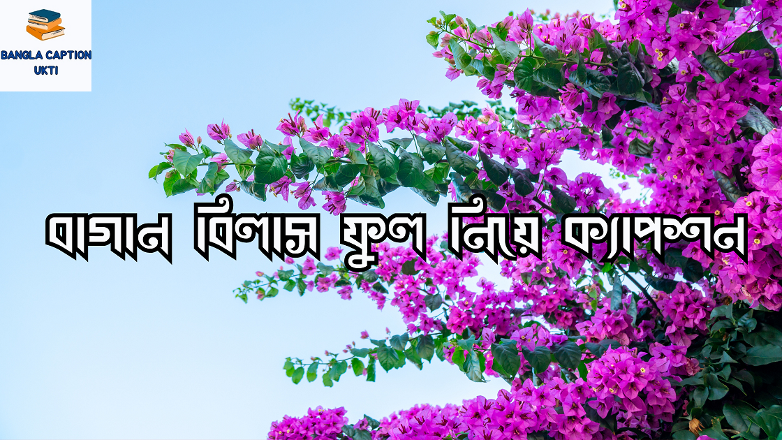 বাগান বিলাস ফুল নিয়ে