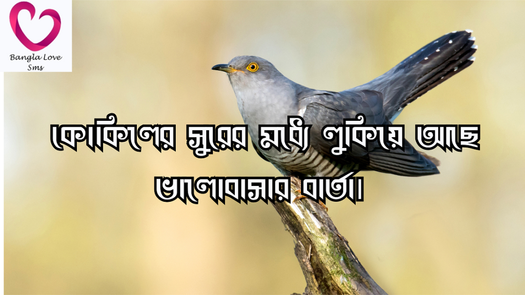কোকিল নিয়ে ক্যাপশন