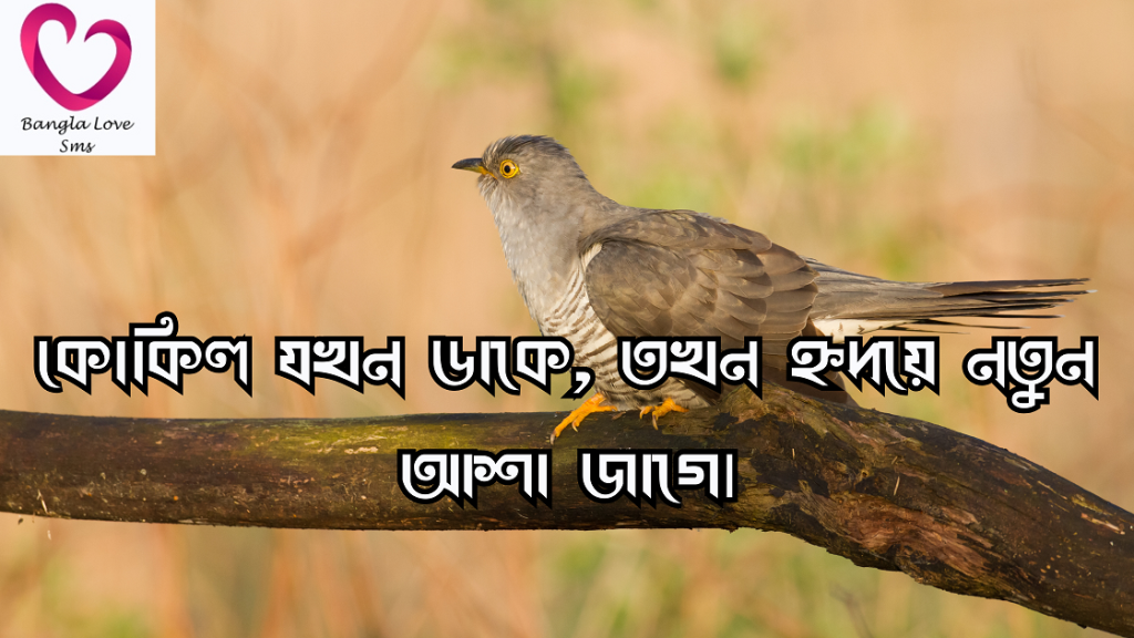 কোকিল নিয়ে ক্যাপশন