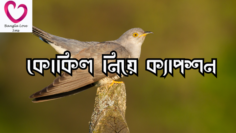 কোকিল নিয়ে ক্যাপশন
