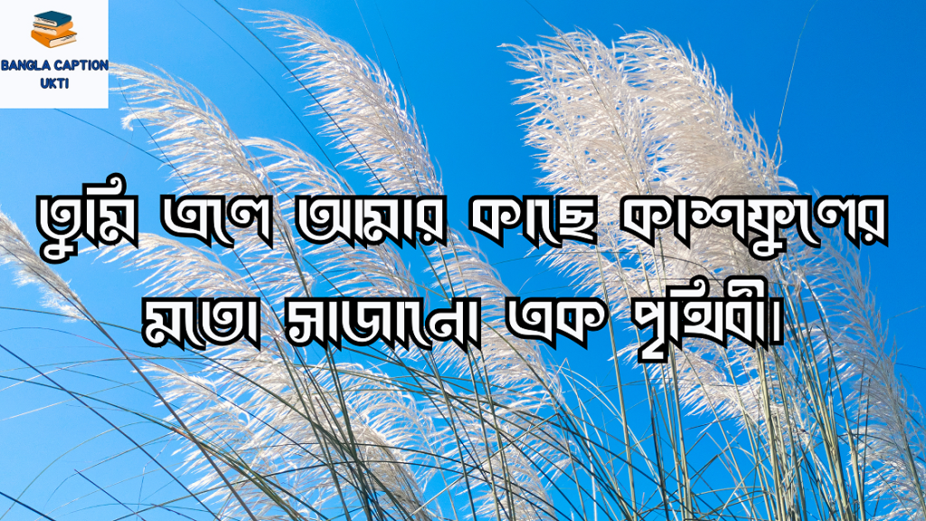 কাশফুল নিয়ে ক্যাপশন