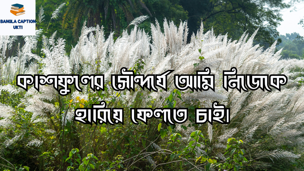 কাশফুল নিয়ে ক্যাপশন