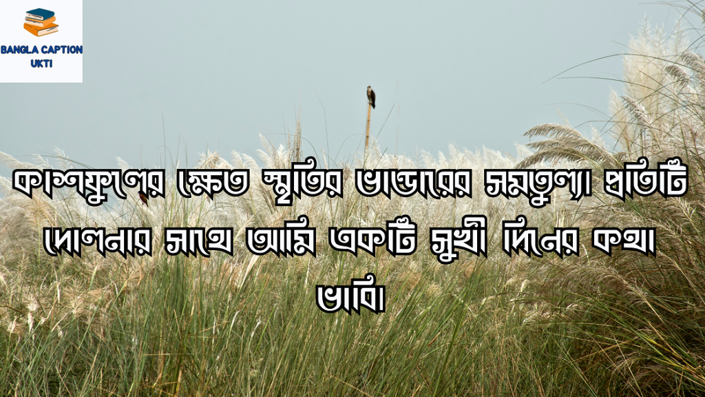 কাশফুল নিয়ে ক্যাপশন