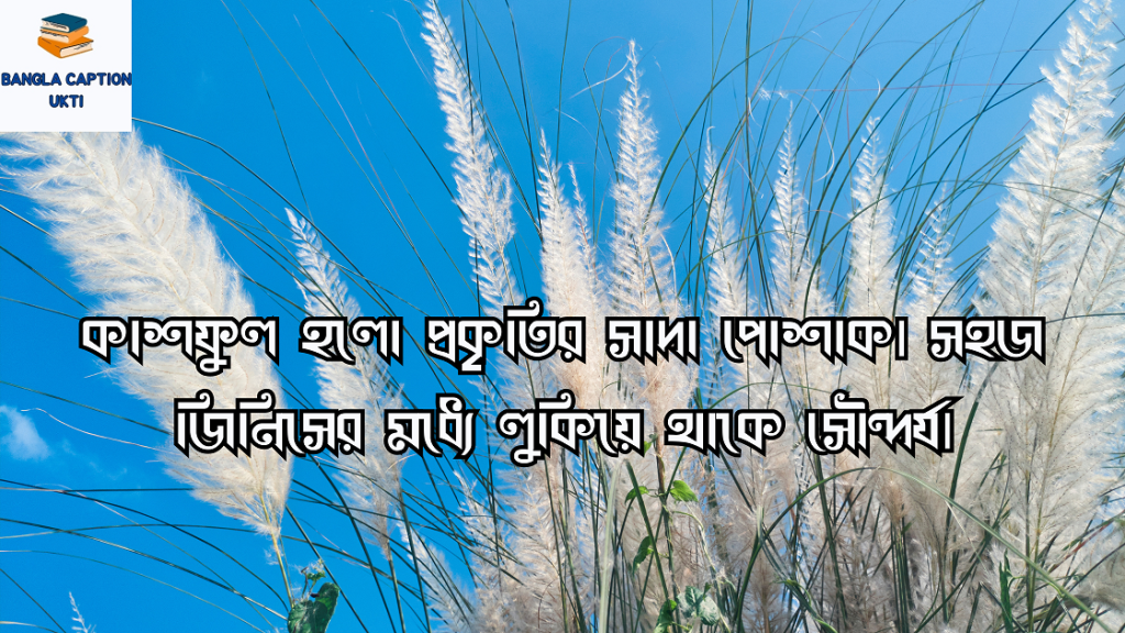 কাশফুল নিয়ে ক্যাপশন
