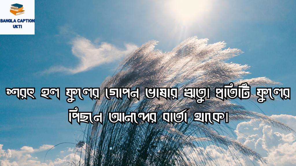 কাশফুল নিয়ে ক্যাপশন
