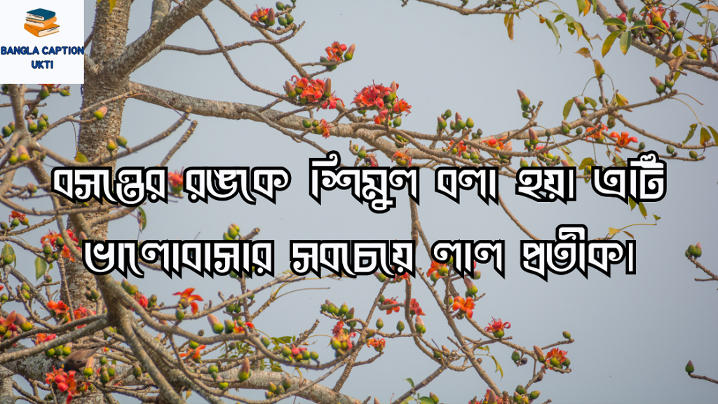 শিমুল ফুল নিয়ে ক্যাপশন