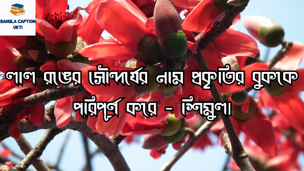 শিমুল ফুল নিয়ে ক্যাপশন