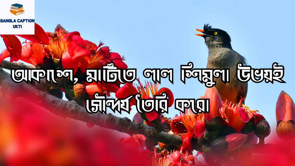 শিমুল ফুল নিয়ে ক্যাপশন