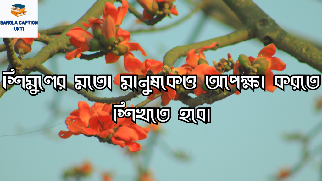 শিমুল ফুল নিয়ে ক্যাপশন