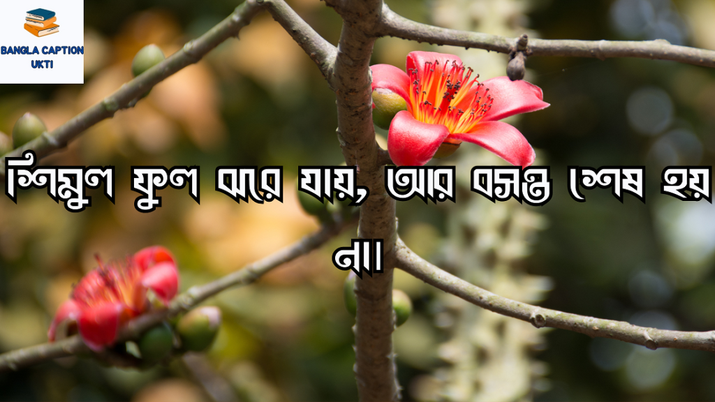 শিমুল ফুল নিয়ে ক্যাপশন