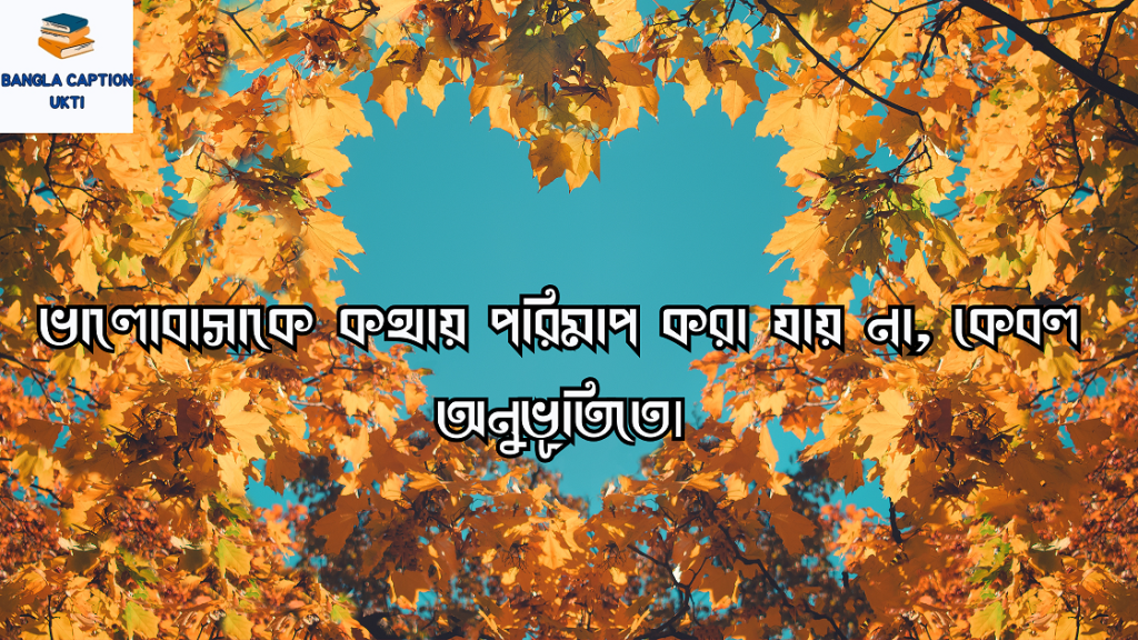 ভালোবাসার পূর্ণতা নিয়ে