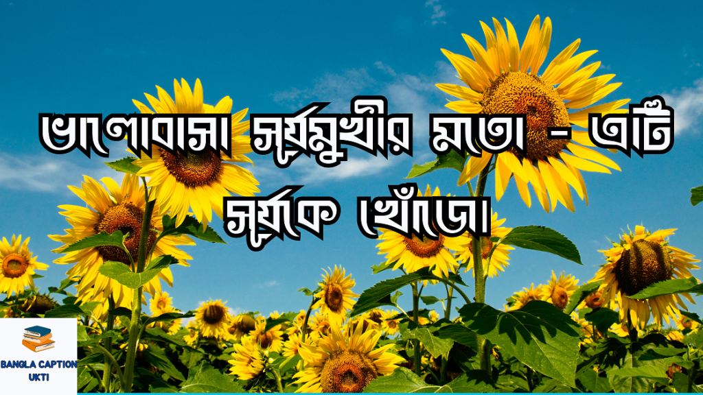 সূর্যমুখী ফুল নিয়ে ক্যাপশন