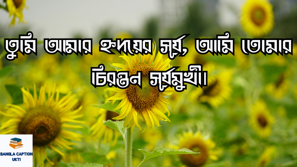 সূর্যমুখী ফুল নিয়ে ক্যাপশন