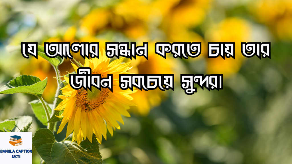 সূর্যমুখী ফুল নিয়ে ক্যাপশন